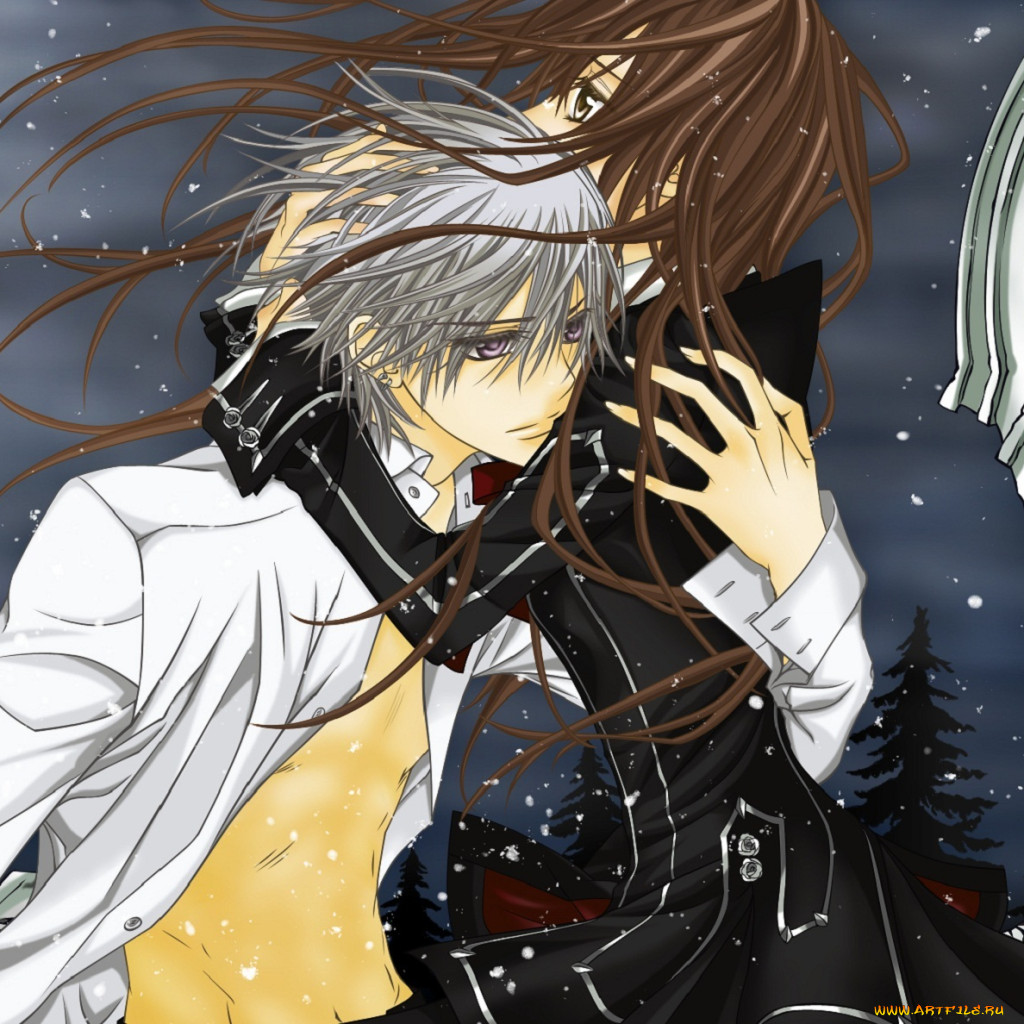 Обои Аниме Vampire Knight, обои для рабочего стола, фотографии аниме,  vampire knight, рыцарь-вампир, yuuki, cross, vampire, knight, объятия,  плита, ветер, kiryu, zero, снег, ночь, луна Обои для рабочего стола,  скачать обои картинки